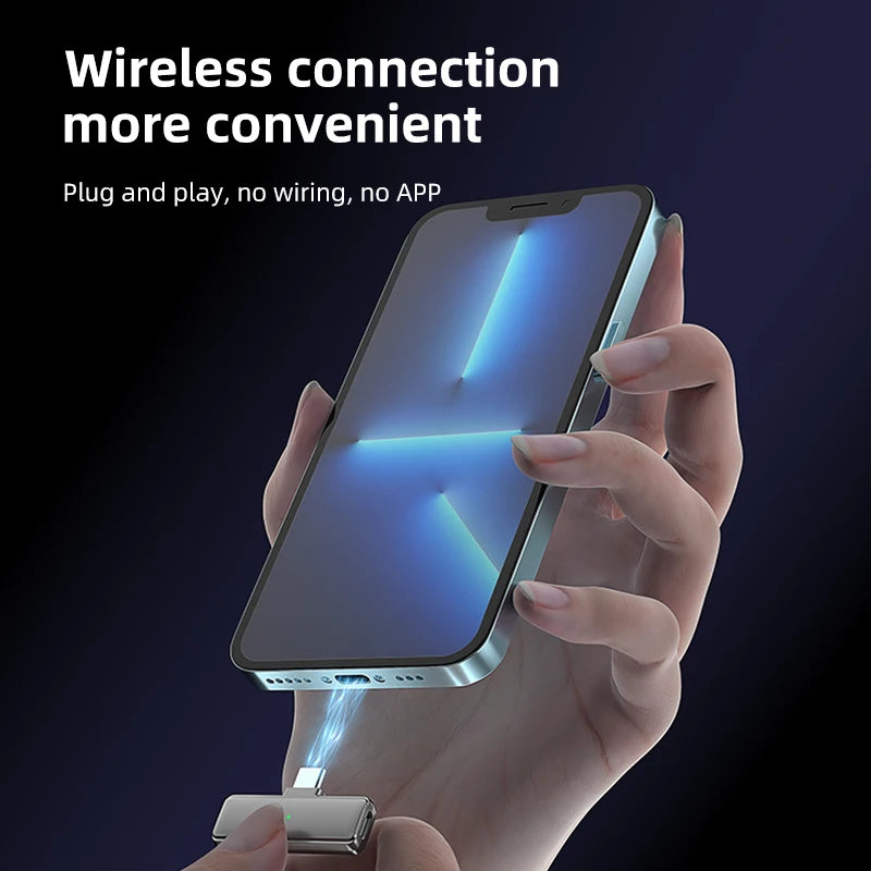 Profesionalus mini mikrofonas